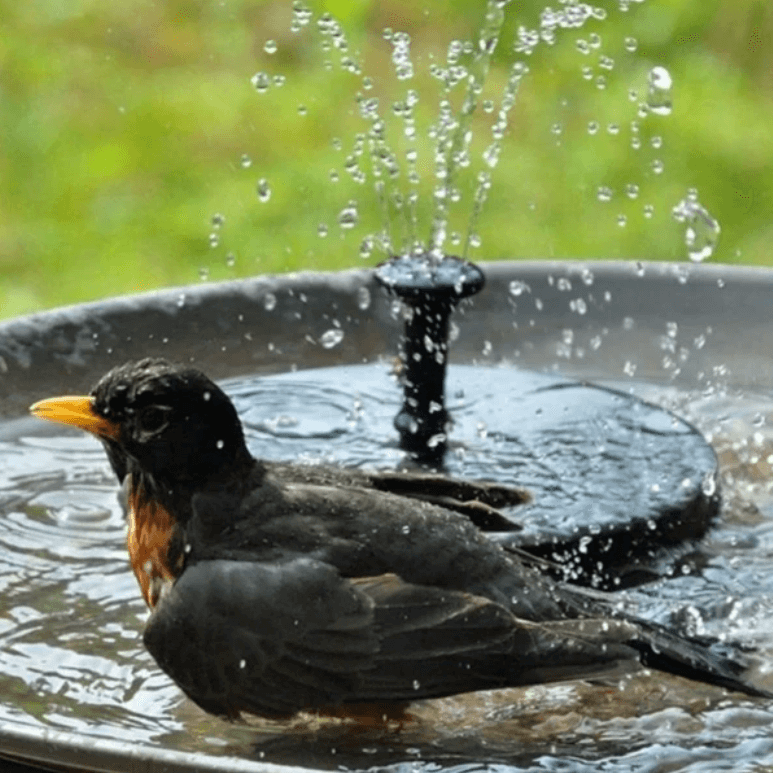 Solar Water Fountain for Bird Bath, Outdoor Bird Bath Fountain with 4 Adjustable Spray Nozzles for Garden Decor