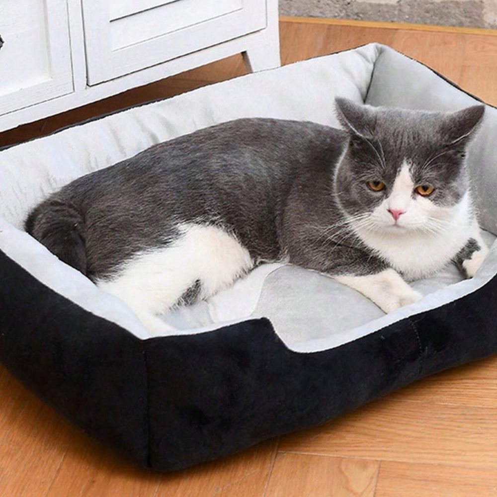 Fiora Dog Bed - Soft Microfiber, Supportive Comfort for Pets