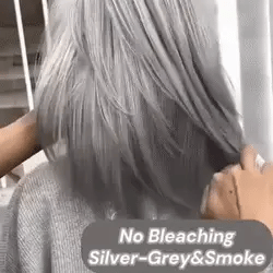 Hair Color 2-in-1 Ammonia-Free Silver