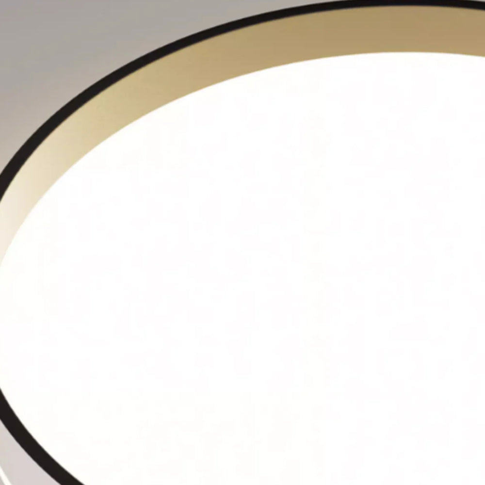 Round Flush Mount LED Light Fixture 16 in Acrylic for Bedroom Living Room Low Profile Modern Overhead Lighting Indoor