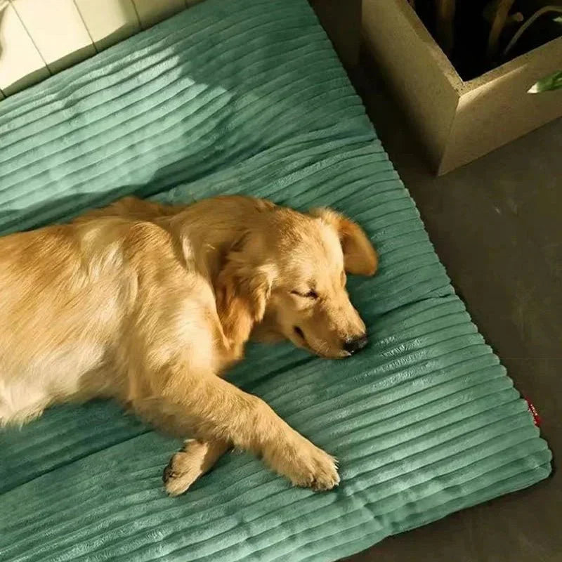 Supportive Memory Foam Pet Cushion for Dogs & Puppies - Plush Indoor Sleeping Mat with Orthopedic Support - Washable Soft Bedding for Senior
