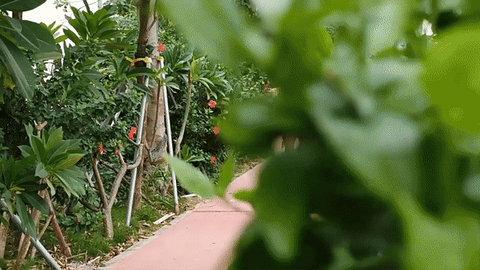 BLENDLY – Portable Smoothie Blender with Rechargeable Battery for Fresh Drinks Anywhere
