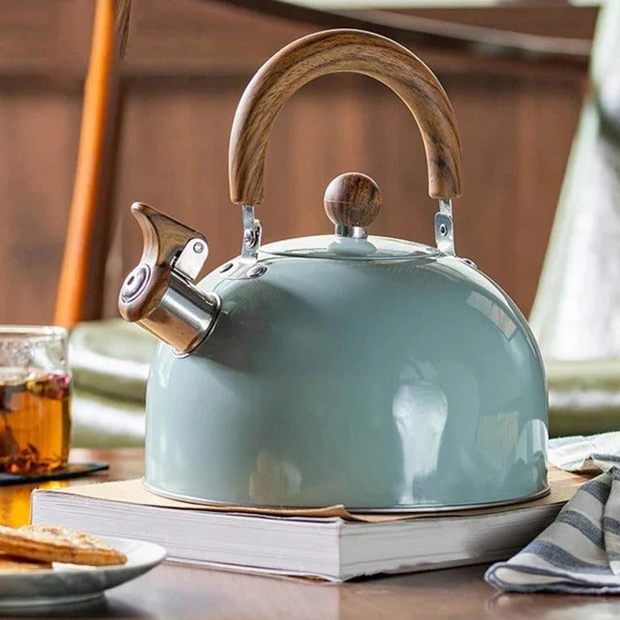 Fast Boiling Stainless Steel Whistling Kettle
