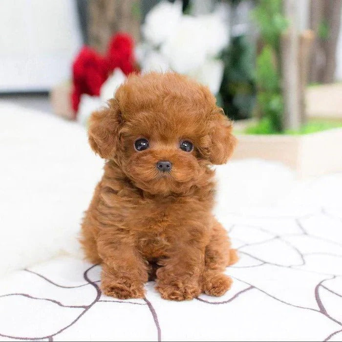 Cuddly Soft Stuffed Dog with Weighted Bottom