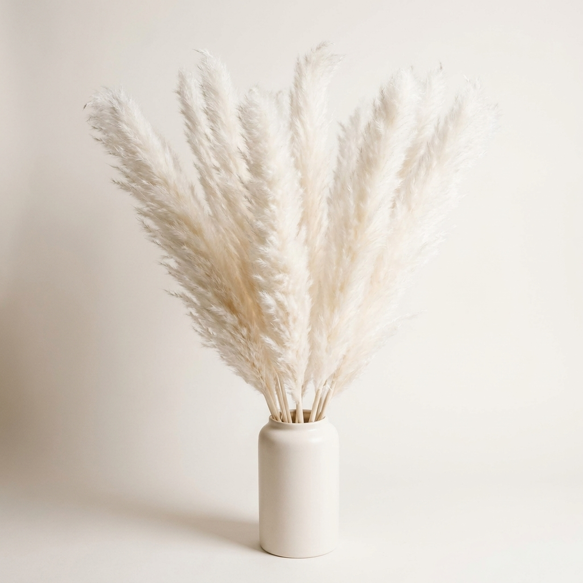 PLUMENEST – Pampas Grass Stems for Cozy Decorative Character