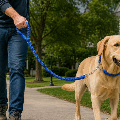Ortekor Heavy-Duty Braided Dog Leash with Chain-Control Collar for Strong Pullers - Daily Walking & Training
