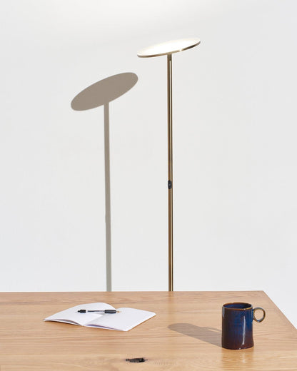 Adjustable LED Standing Lamp with Dimmer for Home Office & Lounge, Modern Metal Uplight with Directional Head for Bedroom Reading Corner Tas
