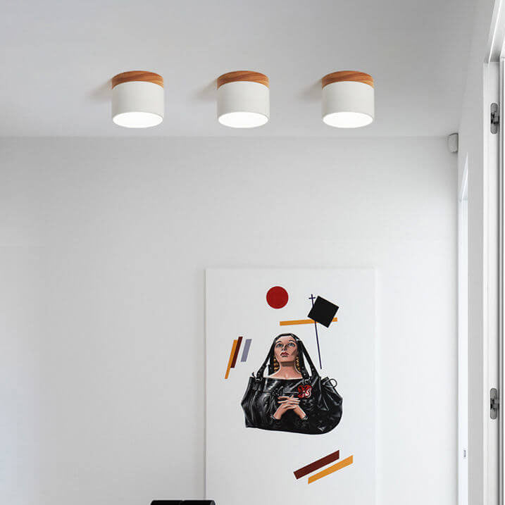 Round Compact LED Ceiling Light with Tri-Color Temperature Switch for Hallways, Bedrooms & Living Rooms | Modern Nordic Style Flush Mount