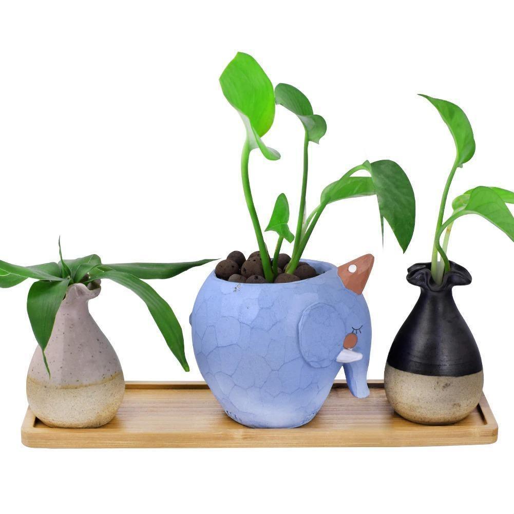 Bamboo Planter Saucer Trays