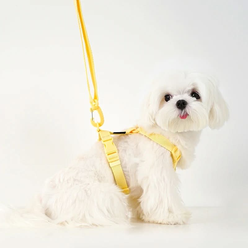 PAWGLEAM – Reflective Pet Harness Leash Set