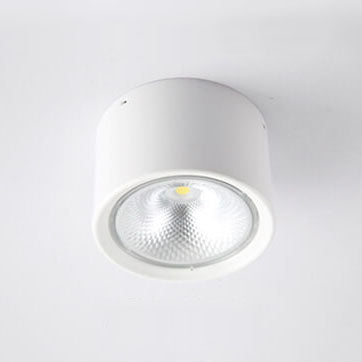 Adjustable Cylinder Spotlight – Surface Mount LED Ceiling Light – Directional Accent Fixture for Living Room, Hallway & Kitchen – Modern