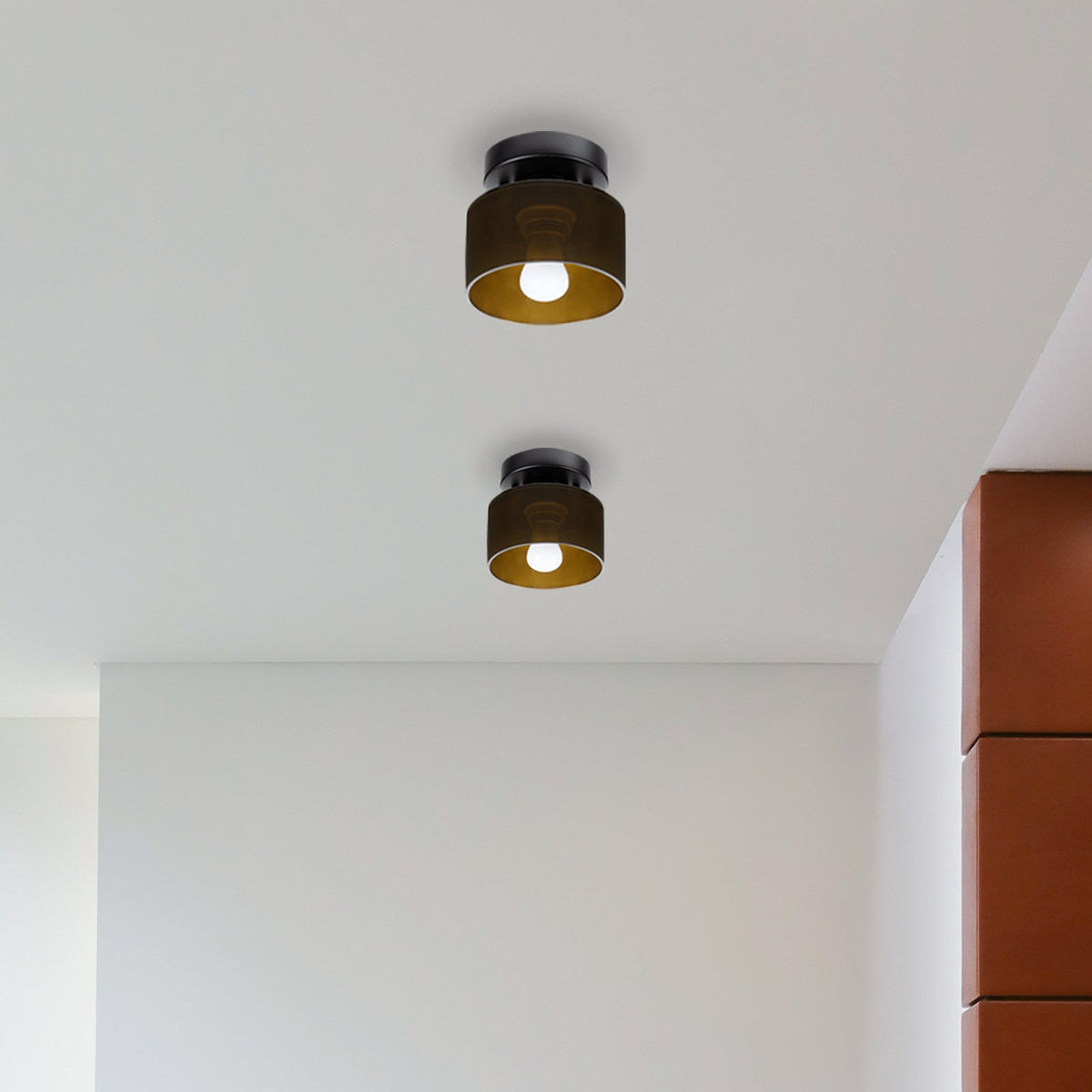 Flush Mount Glass Globe Light with E27 Socket for Entryway Kitchen and Bedroom Lighting