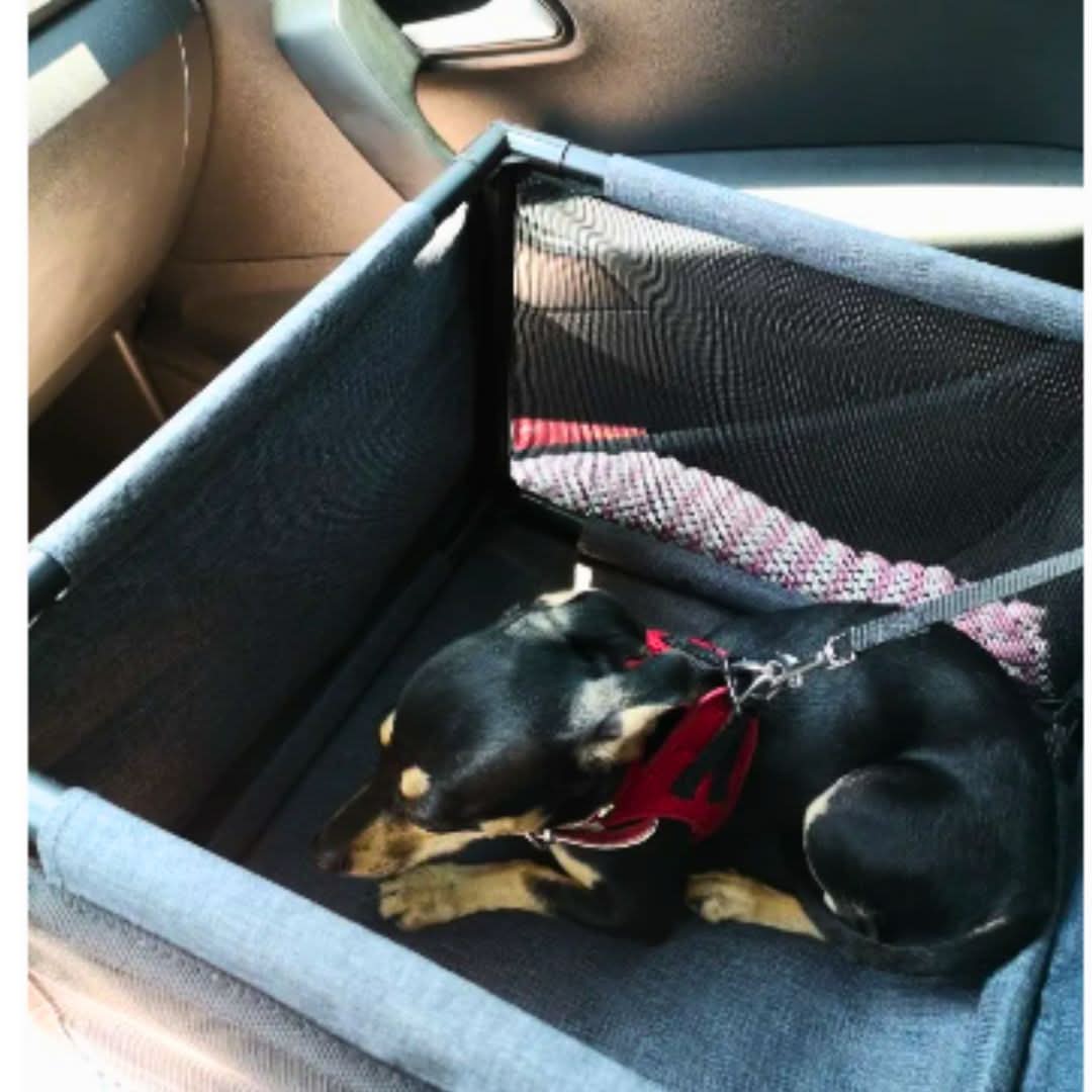 HAMMIPAW | Pet Car Seat with Versatile Design & Waterproof Material | Ultimate Protection for Your Vehicle