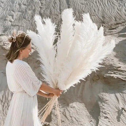 PLUMENEST – Pampas Grass Stems for Cozy Decorative Character