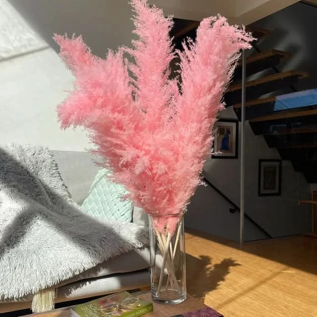 PLUMENEST – Pampas Grass Stems for Cozy Decorative Character