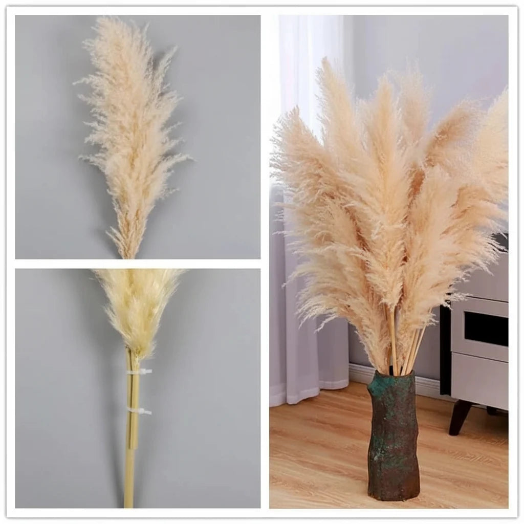 PLUMENEST – Pampas Grass Stems for Cozy Decorative Character
