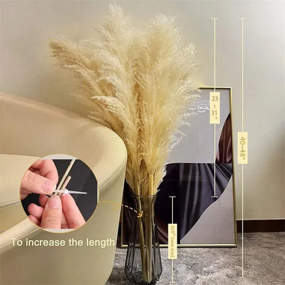 PLUMENEST – Pampas Grass Stems for Cozy Decorative Character