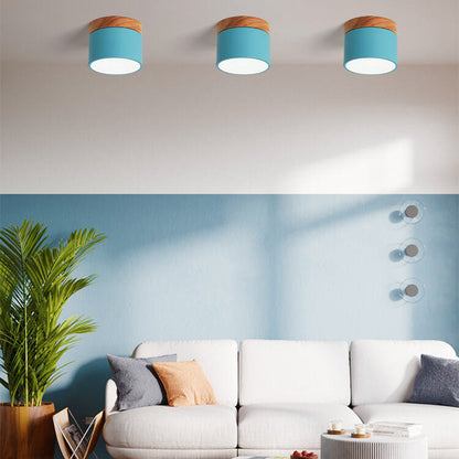 Compact Surface-Mount LED Light Fixture 4 in Round Multi-Color Adjustable Temperature for Entryways Bedrooms Overhead Lighting 7W 700 Lumens