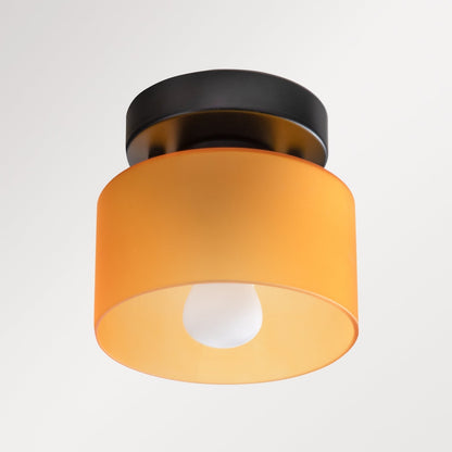 Flush Mount Glass Globe Light with E27 Socket for Entryway Kitchen and Bedroom Lighting
