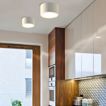 Flush Mount LED Ceiling Light – Ultra-Slim Profile, Modern Minimalist Design for Low Ceilings, Energy-Efficient Integrated Lighting
