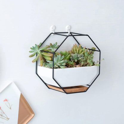 Hexa Frame Wall Planter