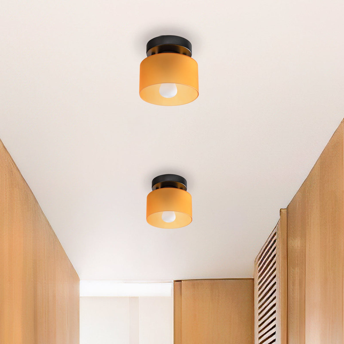 Flush Mount Glass Globe Light with E27 Socket for Entryway Kitchen and Bedroom Lighting