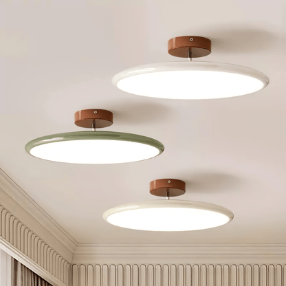 Swivel LED Flush Mount Ceiling Light 12 Inch Round Indoor Lamp Adjustable Directional Lighting for Bedroom Living Room Kitchen Dining Room T