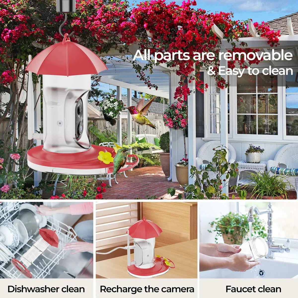 SkyFeeder Cam – Smart Bird Feeder with Camera – Outdoor Observation Station