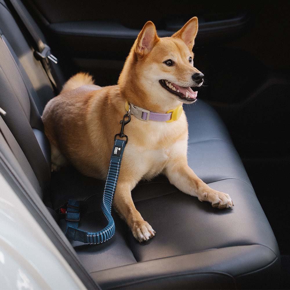 Adjustable Pet Safety Harness Tether for Car Travel with Reflective Strap & Elastic Shock Absorber for Dogs