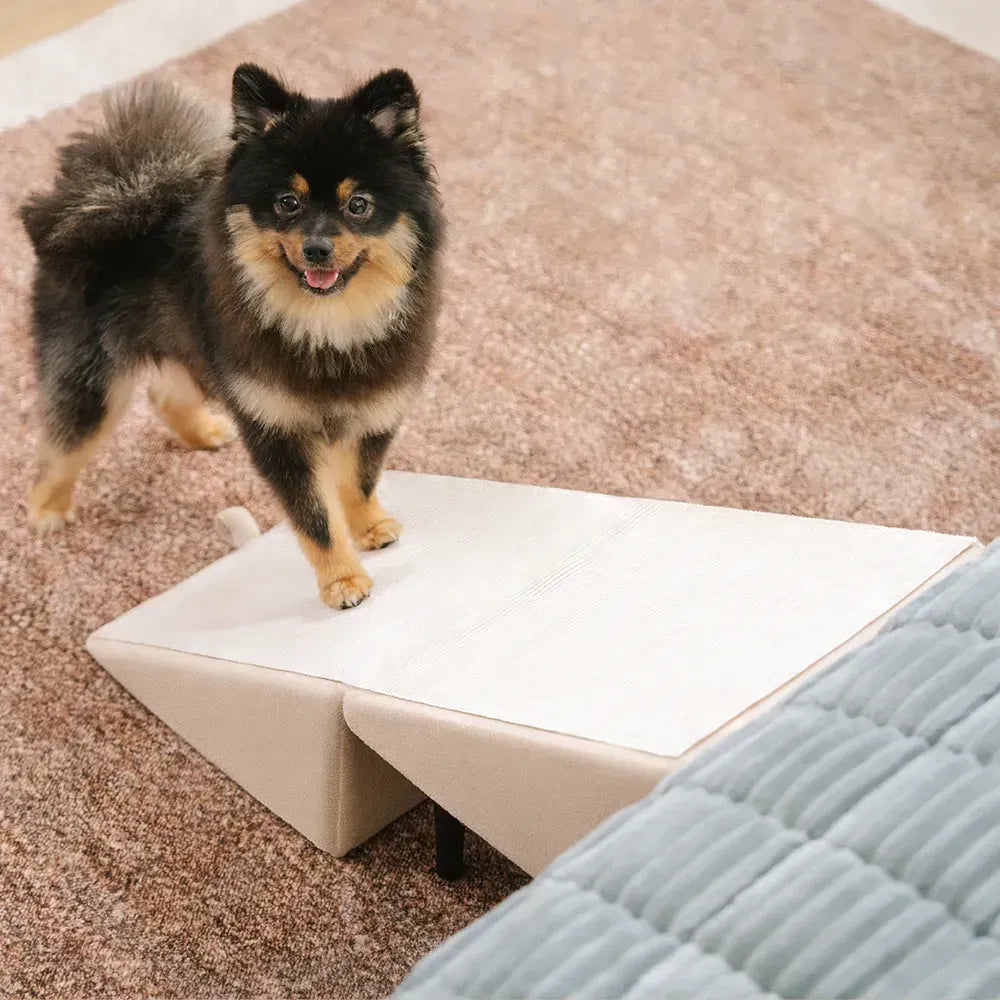 Pet Stairs with Anti-Slip Tread – Foldable 2-in-1 Ramp for Small Dogs, Seniors & Short Breeds – Velvet-Covered Step Platform for Couch & Bed