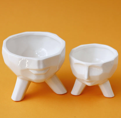 2-Piece White Ceramic Facial Succulent Planters