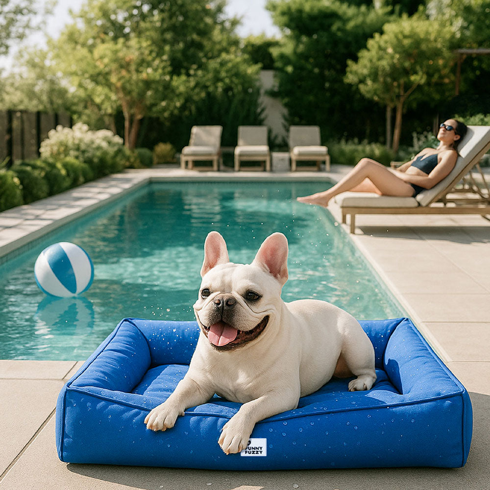 Raised-Edge Bolster Dog Bed with Joint-Relief Foam & Liquid-Proof Cover for Large Breeds