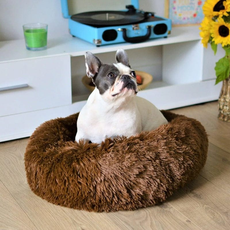 Round Raised-Edge Pet Bed with Plush Faux Fur Fill for Dogs & Cats