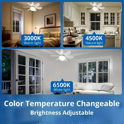Innovative | Modern Ceiling Fan Light with Remote Control & Bright LED | Dual Functionality for Enhanced Comfort