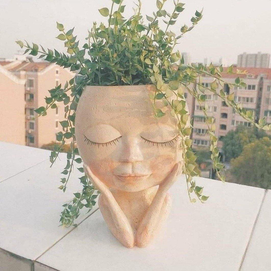Rosy Cheeky Face Planter