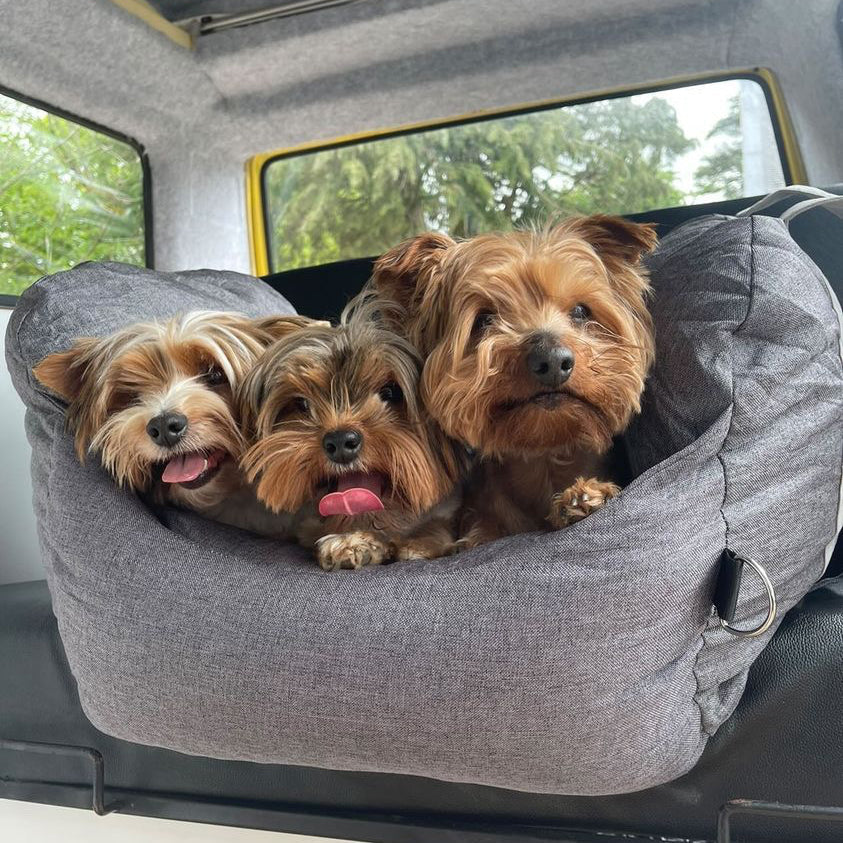 Portable Pet Carrier Booster Seat with Safety Harness and Washable Cover for Small Dogs
