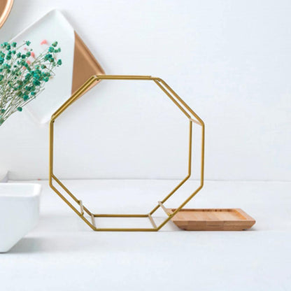 Hexa Frame Wall Planter