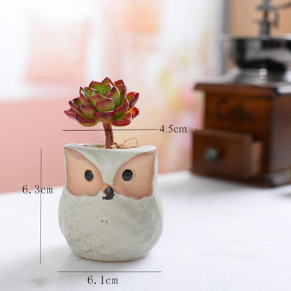6-Piece Small Owl Ceramic Succulent Planter Pots