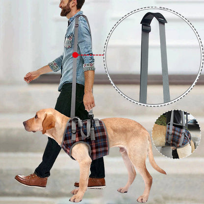 Rear Leg Support Harness for Dogs – Adjustable Lift Sling for Hip Stability, Arthritis & Mobility Assistance