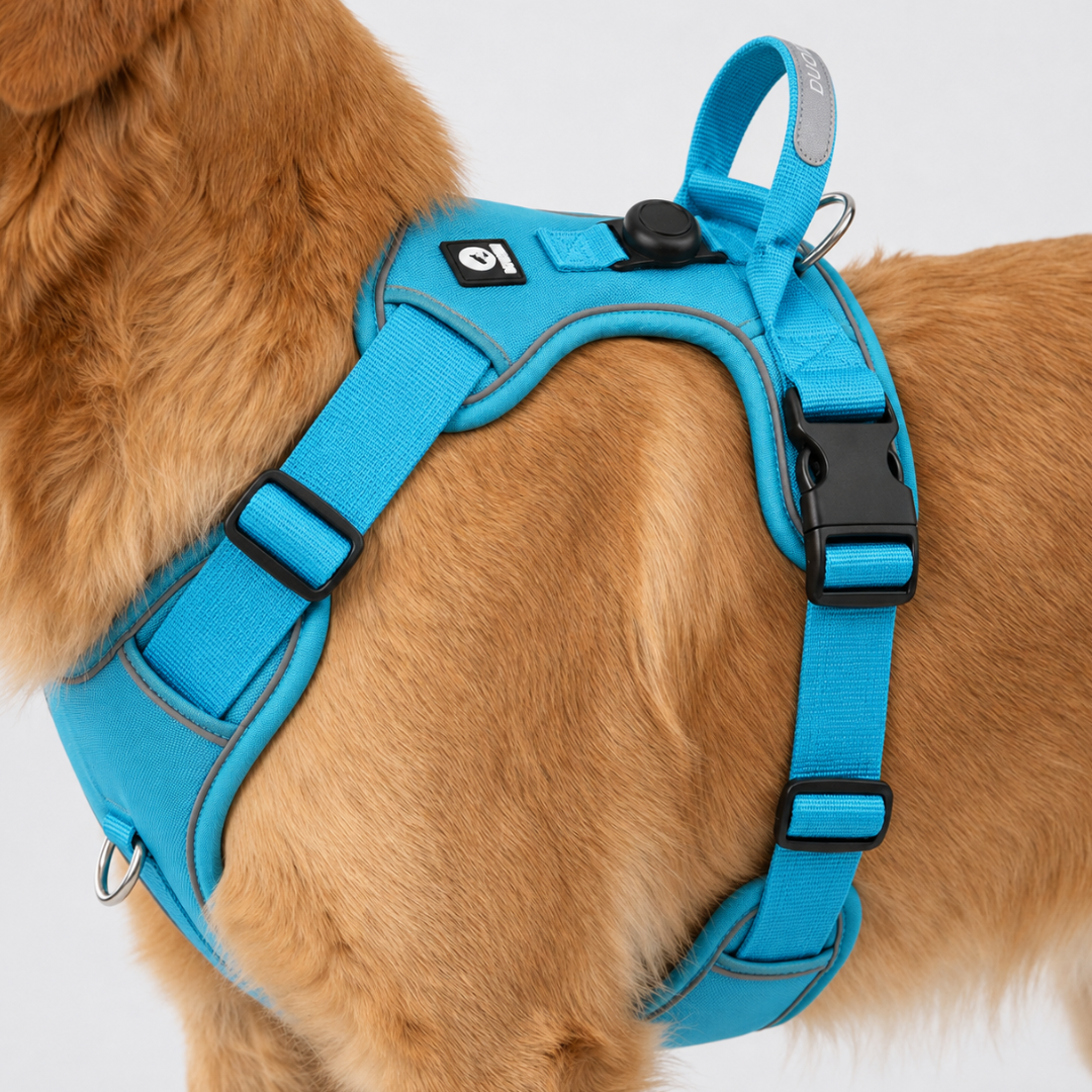 Adjustable Anti-Pull Dog Vest with Front Clip and Reflective Trim for Small to Large Breeds