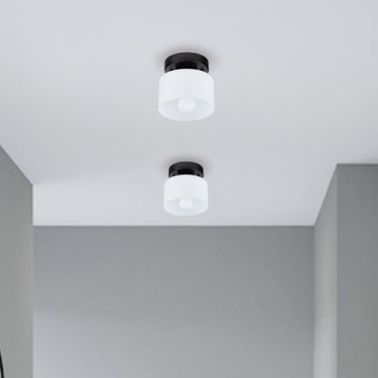 Flush Mount Glass Globe Light with E27 Socket for Entryway Kitchen and Bedroom Lighting