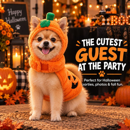 Ortekor 3D Pumpkin Dog Halloween Costume - Plush Jack-O'-Lantern Outfit for Parties, Trick-or-Treat & Photos with Easy Hook-and-Loop Fit