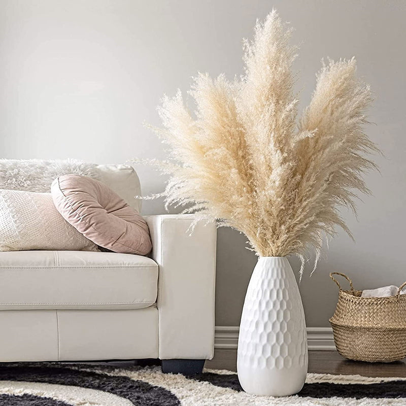 Fluffy Natural Pampas Grass Stems for Vase Displays | 16-30 Inch Dried Floral Accents for Living Room Shelf Styling Event Centerpieces Boho