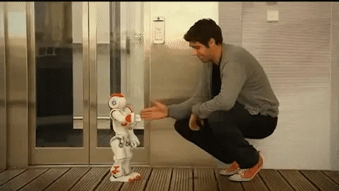 Interactive Gesture-Control Robot for Kids – Dancing, Musical Learning Toy with Voice & Programming | Educational STEM Playtime Companion