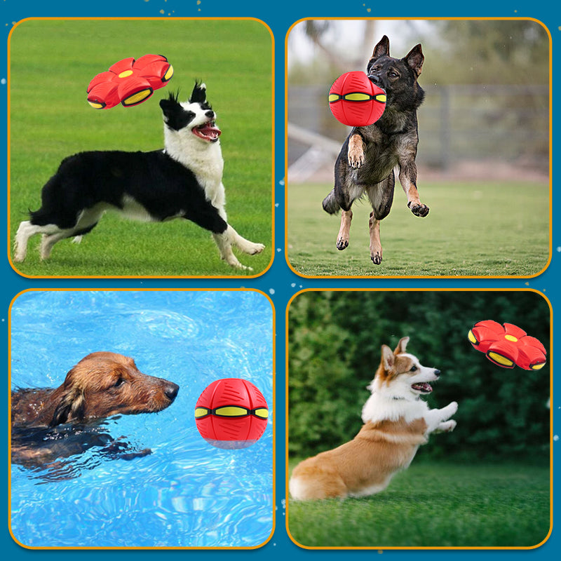 Self-Rolling LED Dog Ball Toy – Motion-Activated Light-Up Frisbee Disc for Interactive Fetch & Indoor Outdoor Play