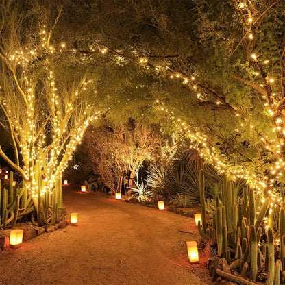 Solara Solar String Lights - Weatherproof, Automatic Sensor Outdoor Lighting