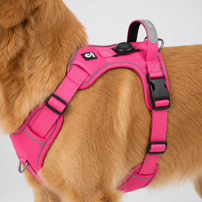 Adjustable Anti-Pull Dog Vest with Front Clip and Reflective Trim for Small to Large Breeds