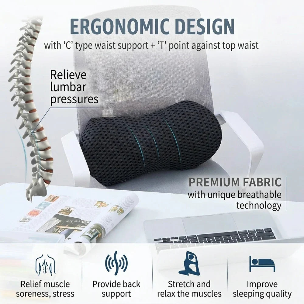 Lumbar support cushion, ergonomic contour, back