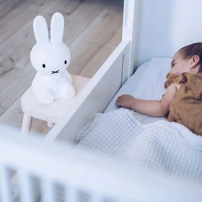 Cute Rabbit Home Decor Figurine