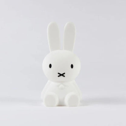 Cute Rabbit Home Decor Figurine